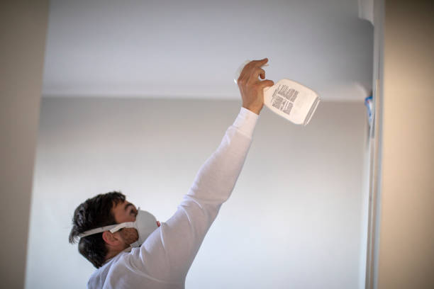 Best Post-Flood Mold Remediation in Kewaskum, WI